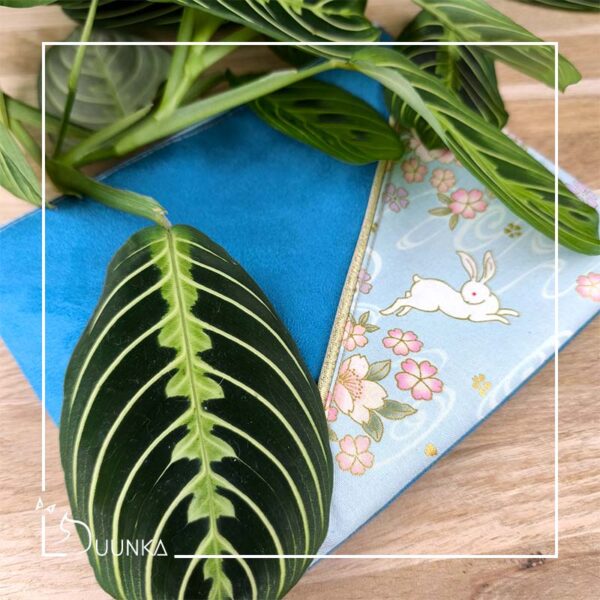 Trousse > 18€ – Image 2